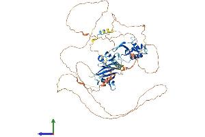 AlphaFold protein structure predicition of Mouse Recombinant Dvl3 Protein, UniprotID Q61062 (DVL3 Protein (AA 1-716) (His tag))