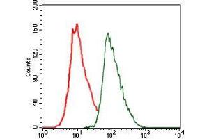 Flow cytometric analysis of HeLa cells using CEBPA mouse mAb (green) and negative control (red). (CEBPA antibody)