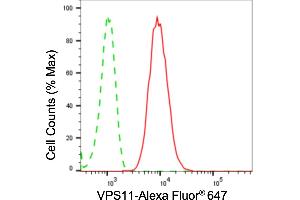 Flow cytometric analysis of VPS11 expression in HepG2 cells using VPS11 antibody (ABIN7800812), 1:2,000). (Recombinant VPS11 antibody)
