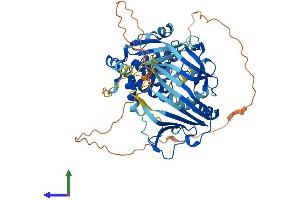 AlphaFold protein structure predicition of Mouse Recombinant Ankrd13c Protein, UniprotID Q3UX43