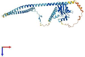 SH2 Domain Containing 4B (SH2D4B) (AA 1-431) protein (His tag)