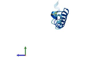 AlphaFold protein structure predicition of Mouse Recombinant Uqcr11 Protein, UniprotID Q9CPX8