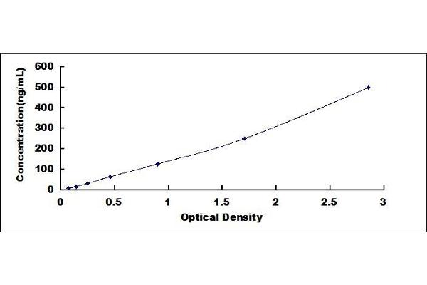 Smooth Muscle Actin ELISA Kit