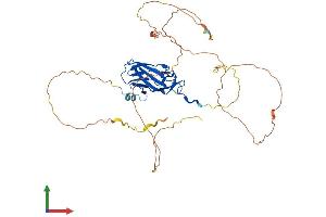 AlphaFold protein structure predicition of Mouse Recombinant Runx3 Protein, UniprotID Q64131