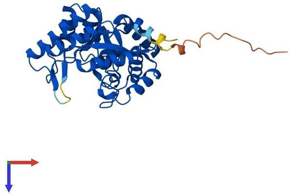 TATDN3 Protein (AA 1-294) (His tag)