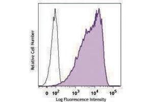 Flow Cytometry (FACS) image for anti-Fucosyltransferase 4 (Alpha (1,3) Fucosyltransferase, Myeloid-Specific) (FUT4) antibody (FITC) (ABIN2661357) (CD15 antibody  (FITC))