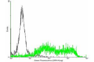 FACS analysis of negative control 293 cells (Black) and ULBP2 expressing 293 cells (Green) using ULBP2 purified MaxPab mouse polyclonal antibody. (ULBP2 antibody  (AA 1-246))