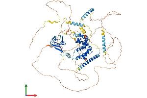 Protein Structure (PS) image for Axin 1 (AXIN1) (AA 1-862) protein (His tag) (ABIN7552498)