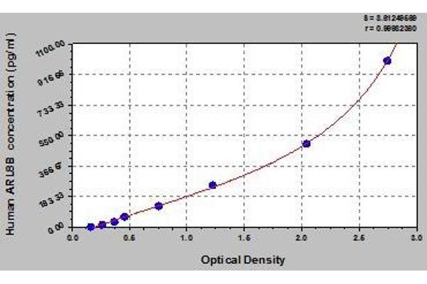 ARL8B ELISA Kit