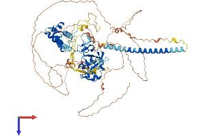 PHD Finger Protein 16 (PHF16) (AA 1-823) protein (His tag)