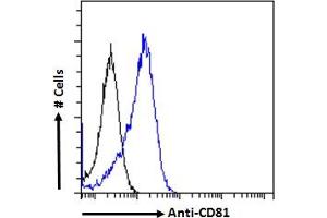 ABIN6391405 Flow cytometric analysis of paraformaldehyde fixed Jurkat cells (blue line), permeabilized with 0. (CD81 antibody  (Internal Region))