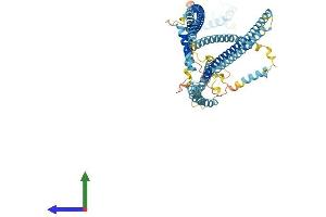 AlphaFold protein structure predicition of Human Recombinant HAUS5 Protein, UniprotID O94927 (HAUS5 Protein (AA 1-633) (His tag))