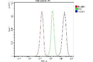 Flow Cytometry analysis of JK cells using anti-VLDL Receptor/VLDLR antibody (ABIN7600777). (VLDLR antibody  (AA 231-770))