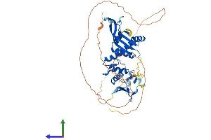 AlphaFold protein structure predicition of Human Recombinant BTBD10 Protein, UniprotID Q9BSF8 (BTBD10 Protein (AA 1-475) (His tag))