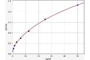 Typical standard curve (Claudin 2 ELISA Kit)