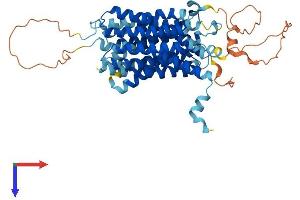 Solute Carrier Family 37 Member 1 (SLC37A1) (AA 1-531) protein (His tag)