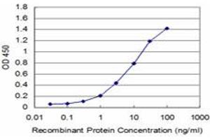 Detection limit for recombinant GST tagged ZNF496 is approximately 0. (ZNF496 antibody  (AA 485-585))