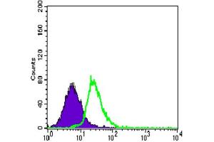 Flow Cytometry (FACS) image for anti-Myocyte Enhancer Factor 2C (MEF2C) (AA 1-125) antibody (ABIN1846463) (MEF2C antibody  (AA 1-125))