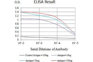 Black line: Control Antigen (100 ng),Purple line: Antigen (10 ng), Blue line: Antigen (50 ng), Red line:Antigen (100 ng) (KIR3DL1 antibody  (AA 22-340))