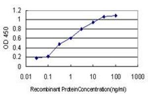 Detection limit for recombinant GST tagged DAG1 is approximately 0. (Dystroglycan antibody  (AA 31-140))
