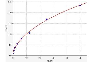 Aggrecan (ACAN) ELISA Kit