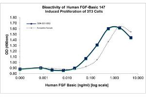 SDS-PAGE (SDS) image for Fibroblast Growth Factor 2 (Basic) (FGF2) protein (ABIN6700912)