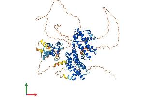 AlphaFold protein structure predicition of Human Recombinant RFX3 Protein, UniprotID P48380 (RFX3 Protein (AA 1-749) (His tag))