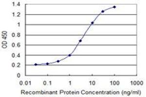 Detection limit for recombinant GST tagged HTATIP2 is 0. (HIV-1 Tat Interactive Protein 2, 30kDa (HTATIP2) (AA 1-242) antibody)