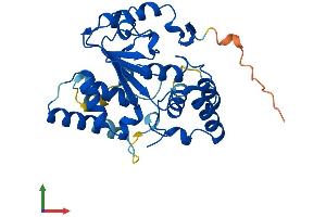 AlphaFold protein structure predicition of Mouse Recombinant Sult4a1 Protein, UniprotID P63046 (SULT4A1 Protein (AA 1-284) (His tag))