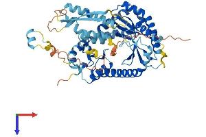 T Cell Activation Inhibitor, Mitochondrial (TCAIM) (AA 1-499) protein (His tag)