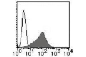 Flow Cytometry (FACS) image for anti-Chemokine (C-C Motif) Receptor 3 (CCR3) antibody (PE) (ABIN1105991) (CCR3 antibody  (PE))