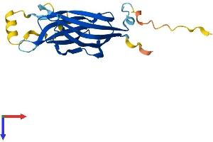 AlphaFold protein structure predicition of Mouse Recombinant B9d1 Protein, UniprotID Q9R1S0