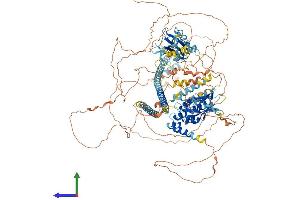 AlphaFold protein structure predicition of Mouse Recombinant Camta2 Protein, UniprotID Q80Y50