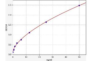 PTPRN ELISA Kit