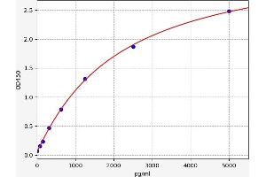 Monoamine Oxidase B ELISA Kit