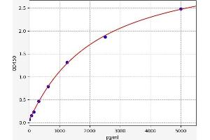 Typical standard curve (Monoamine Oxidase B ELISA Kit)