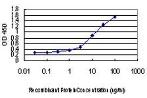 Detection limit for recombinant GST tagged DLX2 is approximately 0. (DLX2 antibody  (AA 1-110))