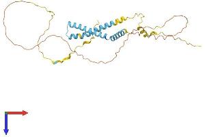 AlphaFold protein structure predicition of Human Recombinant C6orf47 Protein, UniprotID O95873 (C6orf47 Protein (AA 1-294) (His tag))