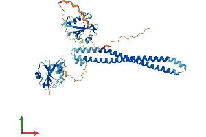 AlphaFold protein structure predicition of Mouse Recombinant Pik3r3 Protein, UniprotID Q64143
