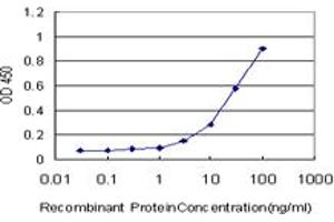 Detection limit for recombinant GST tagged TRAF6 is approximately 1ng/ml as a capture antibody. (TRAF6 antibody  (AA 413-522))