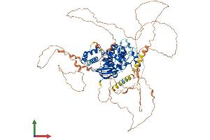 AlphaFold protein structure predicition of Mouse Recombinant Sik1 Protein, UniprotID Q60670 (SIK1 Protein (AA 1-779) (His tag))