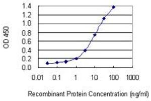 Detection limit for recombinant GST tagged RYBP is 0. (RYBP antibody  (AA 1-228))