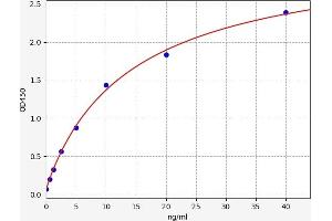 Typical standard curve (LRP6 ELISA Kit)