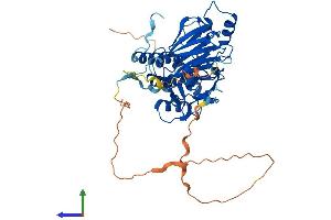 Protein Structure (PS) image for SMAD Family Member 9 (SMAD9) (AA 1-467) protein (His tag) (ABIN7546208)