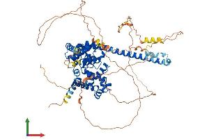 AlphaFold protein structure predicition of Mouse Recombinant Tbc1d12 Protein, UniprotID Q6A039