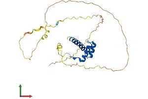 AlphaFold protein structure predicition of Human Recombinant HOXB9 Protein, UniprotID P17482 (HOXB9 Protein (AA 1-250) (His tag))