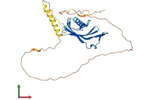 AlphaFold protein structure predicition of Mouse Recombinant Majin Protein, UniprotID Q9D992 (Majin (AA 1-256) protein (His tag))