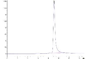 The purity of Mouse PCSK9 is greater than 95 % as determined by SEC-HPLC. (PCSK9 Protein (AA 35-694) (His tag))