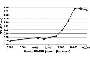 Serial dilutions of human PDGFB, starting at 100 ng/mL, were added to 3T3 cells. (PDGFB Protein)