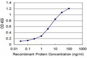 Detection limit for recombinant GST tagged ZNF263 is approximately 0. (ZNF263 antibody  (AA 201-298))